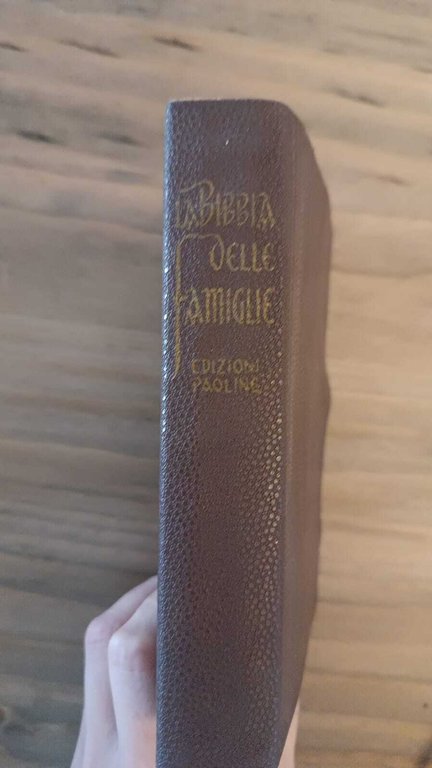 La Bibbia delle famiglie