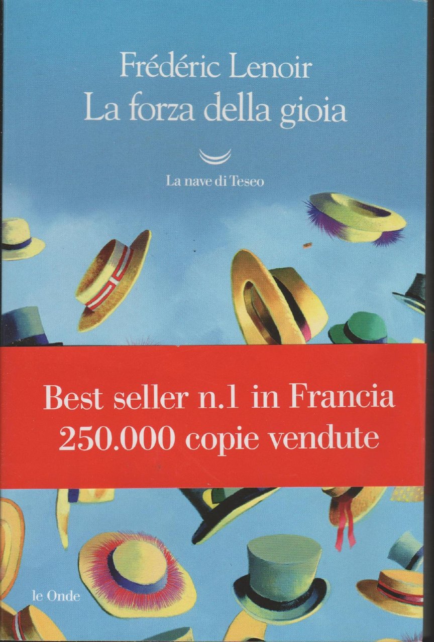 La forza della gioia