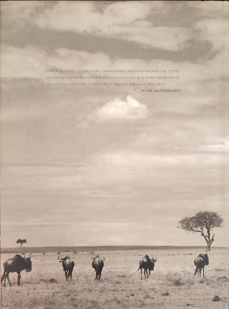 La grande migrazione