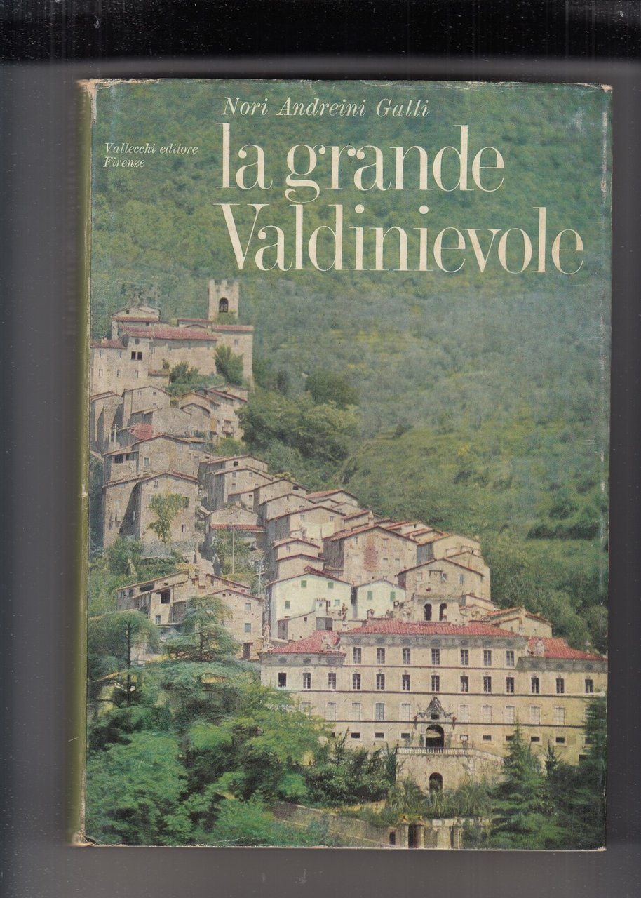 LA GRANDE VALDINIEVOLE.