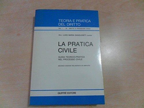La pratica civile. Guida teorico-pratica nel processo civile: 1
