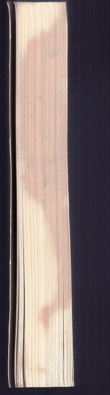 La prigioneria | Immagine Gallery 3