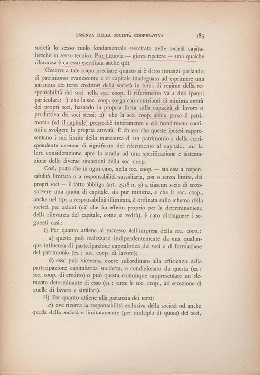 LA SOCIETA' COOPERATIVA | Immagine Gallery 3