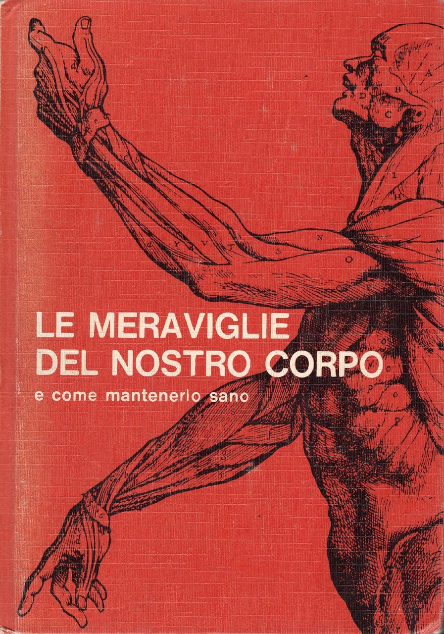 Le meraviglie del nostro corpo e come mantenerlo sano