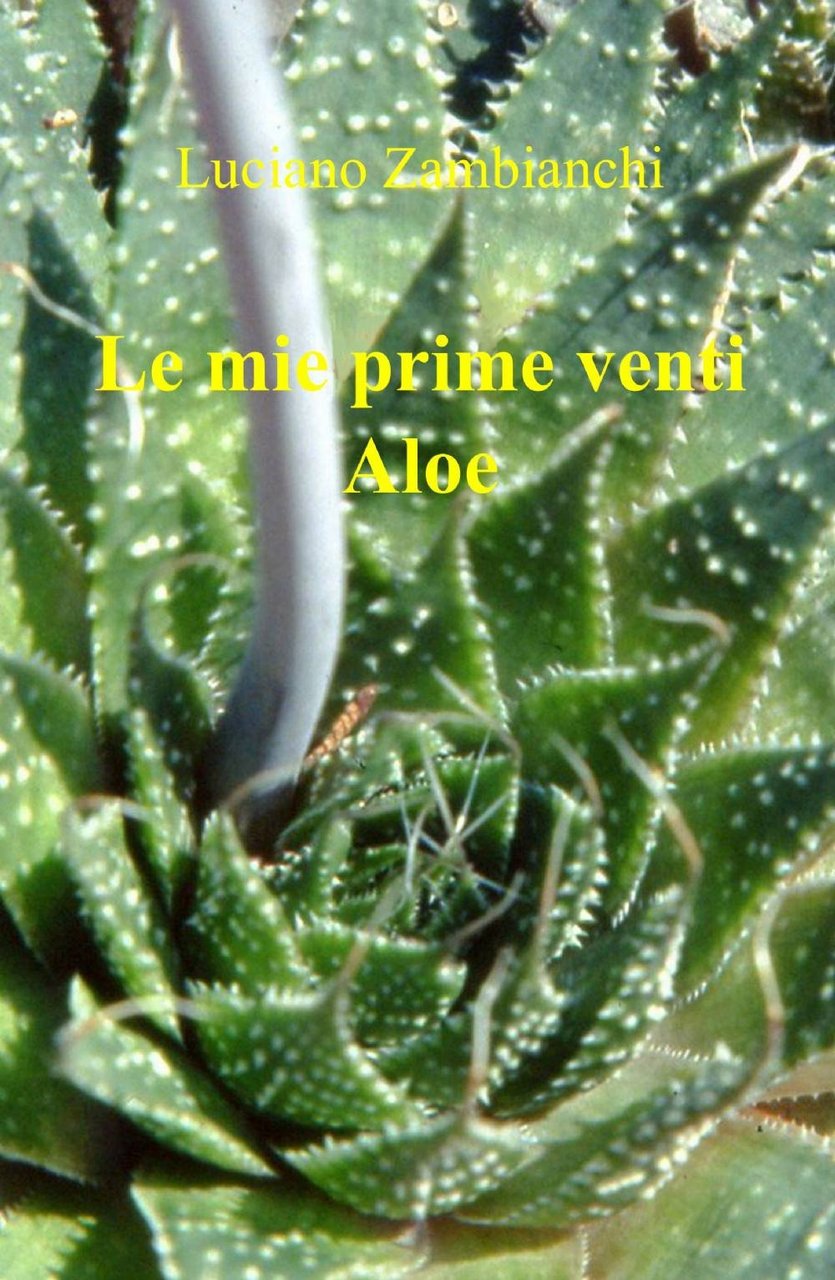 Le mie prime venti Aloe | Immagine principale