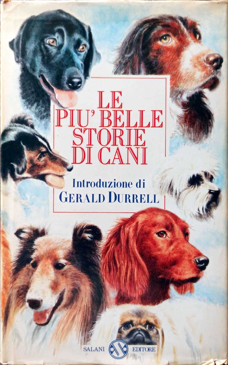 Le più belle storie di cani