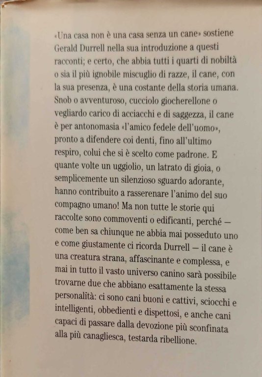 Le più belle storie di cani