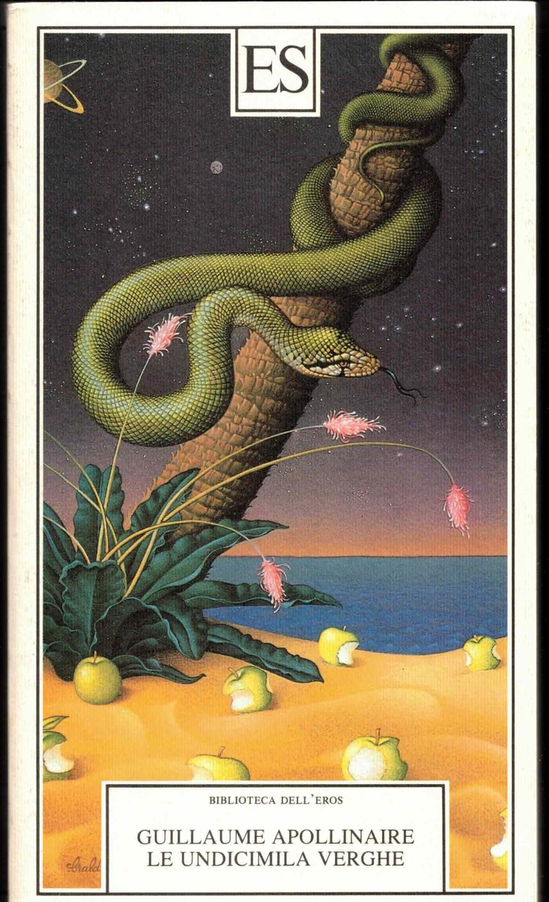 Le undicimila verghe | Immagine principale