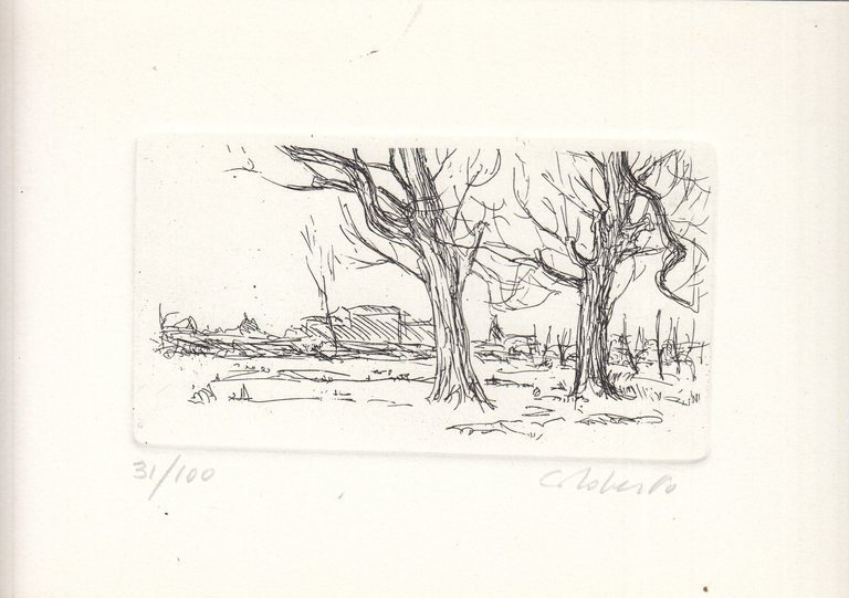 Marca Gioiosa | Immagine Gallery 2