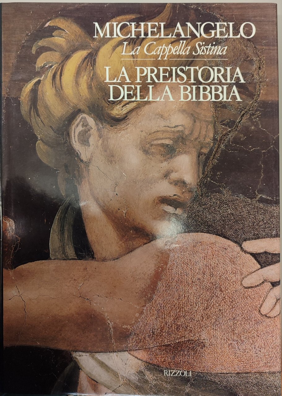 Michelangelo. La Cappella Sistina. La preistoria della Bibbia, Volume I^ | Immagine principale