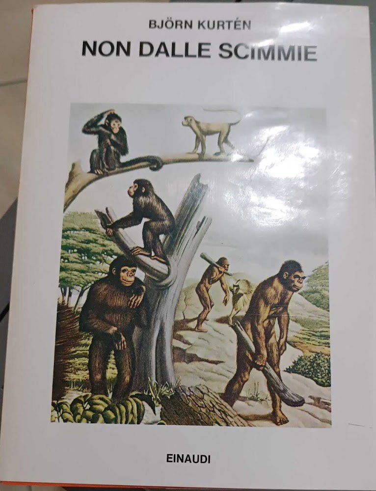 Non dalle scimmie | Immagine principale