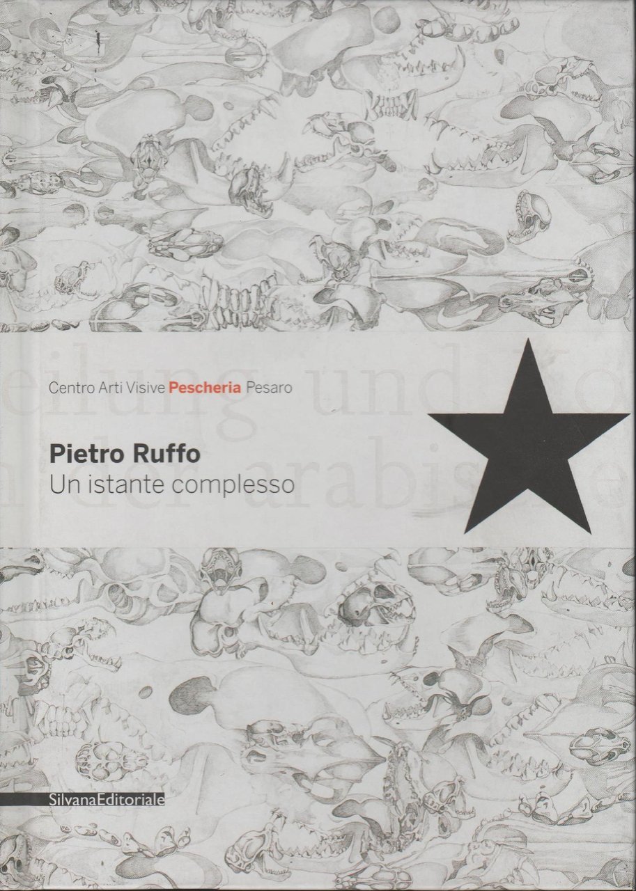 PIETRO RUFFO Un istante complesso