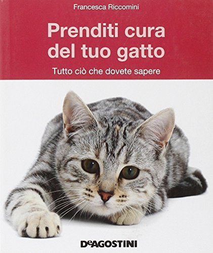 Prenditi Cura Del Tuo Gatto