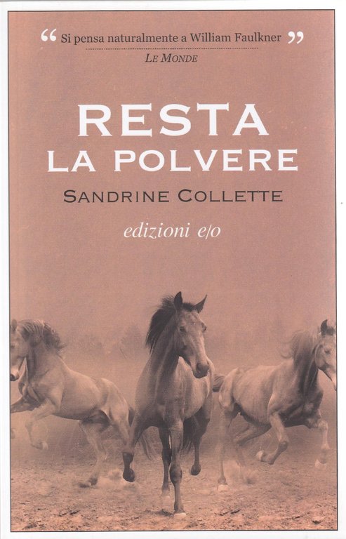 Resta la polvere