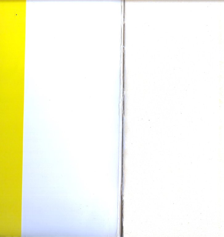 Rivista di Psicologia Analitica - Il simbolo -