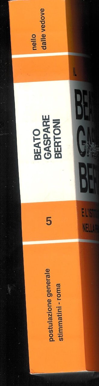 San Gaspare Bertoni e l'Istituto delle Stimmate nella prima meta' … | Immagine principale