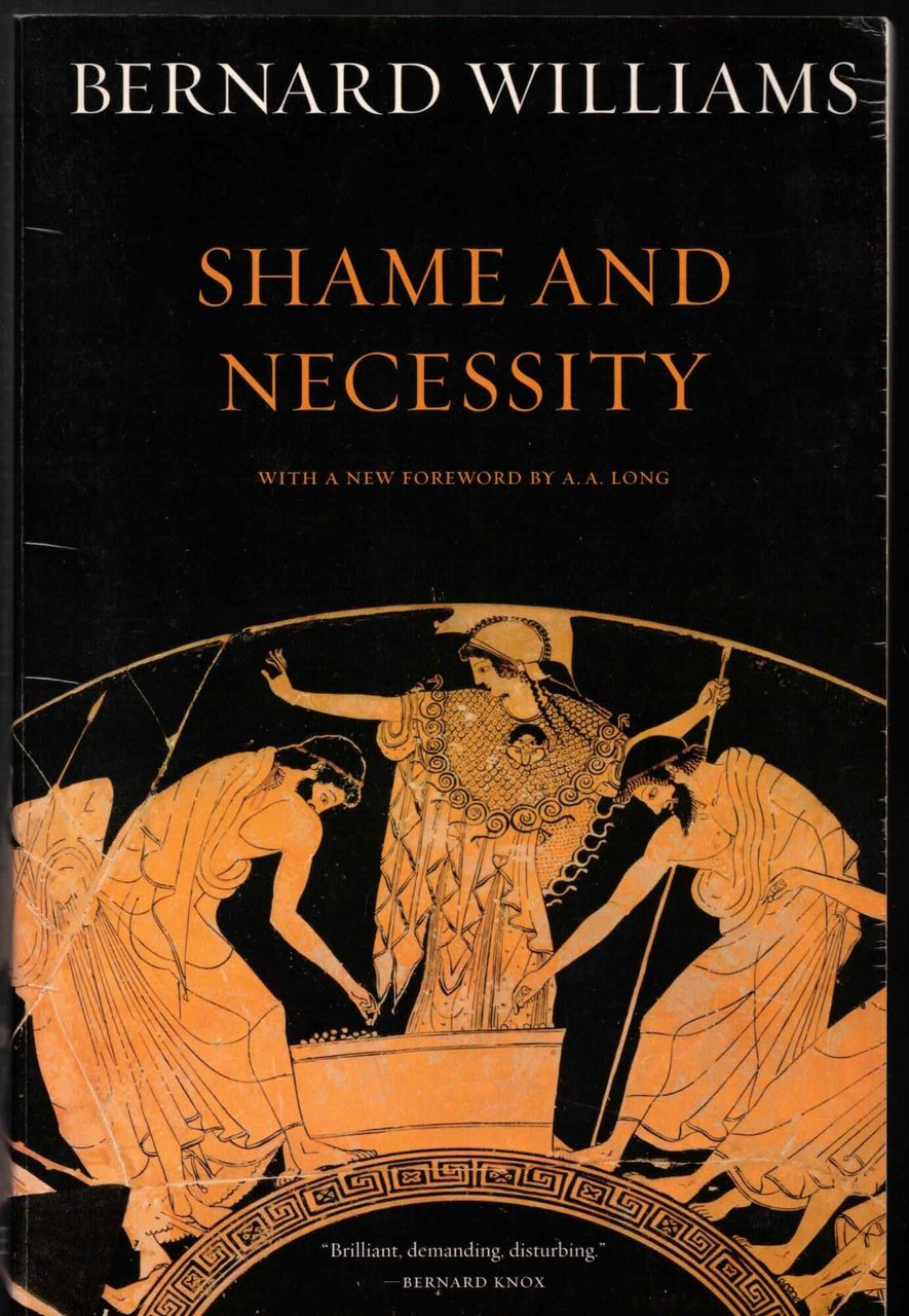Shame and Necessity [Lingua inglese] | Immagine principale