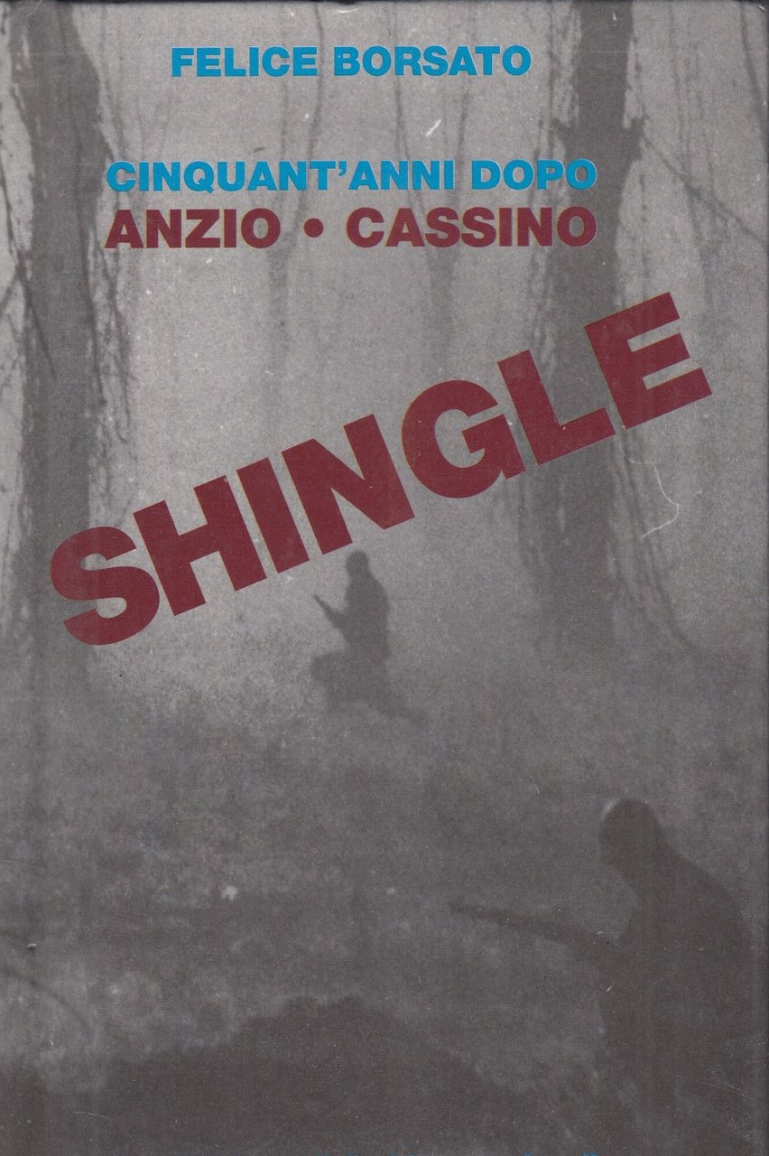 SHINGLE CINQUANT'ANNI DOPO ANZIO CASSINO | Immagine principale