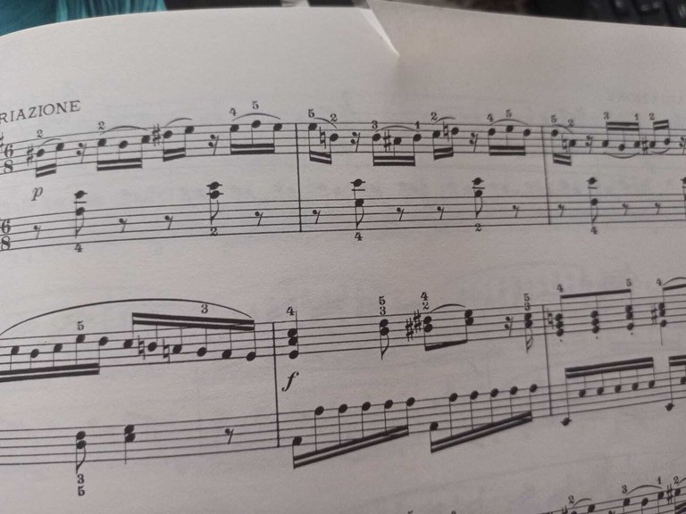 SONATE E FANTASIE. VOLUME I