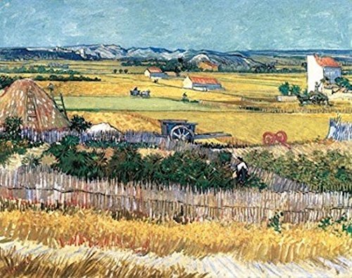 STAMPA SU TELA - CANVAS - LA MIETITURA - VAN …