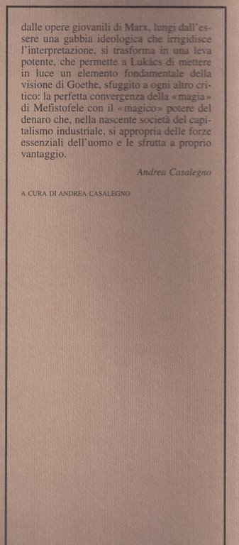Studi sul «Faust»