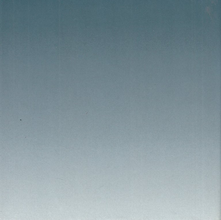 Torturati, impiccati, squartati | Immagine Gallery 2