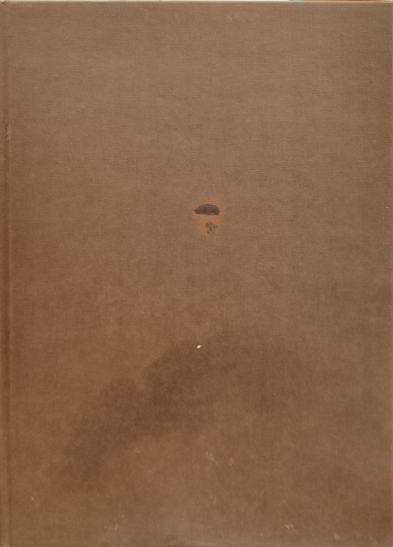 Verona illustrata. La città e il territorio in piante e … | Immagine Gallery 2