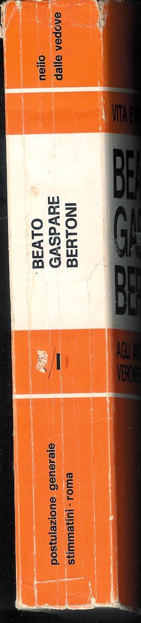 Vita e pensiero del Beato Gaspare Bertoni ( gli albori … | Immagine principale