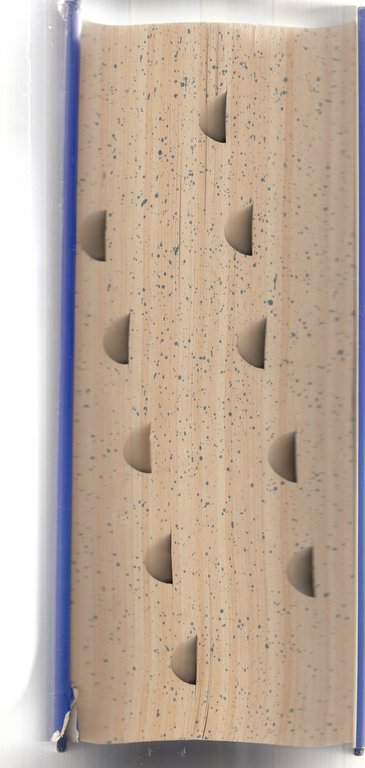 Webster's New Universal Unabridged Dictionary | Immagine Gallery 2