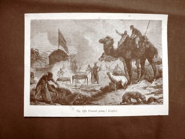 Lehrbuch der Hygiene: Systematische Darstellung der Hygiene und ihrer wichtigsten …