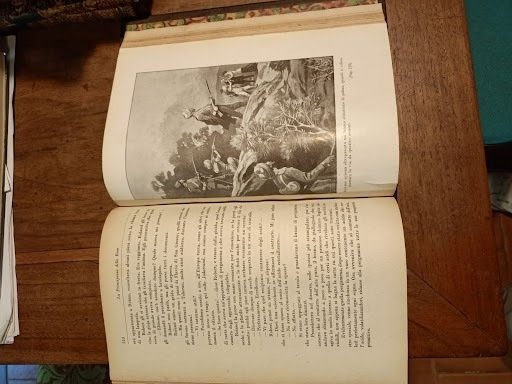 La principessa delle rose. Romanzo d'avventure illustrato con disegni di …