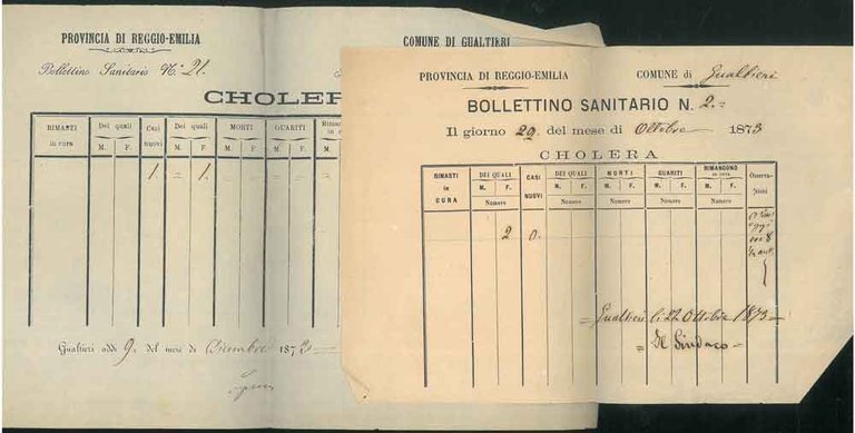 2 Bollettini sanitari del Comune di Gualtieri