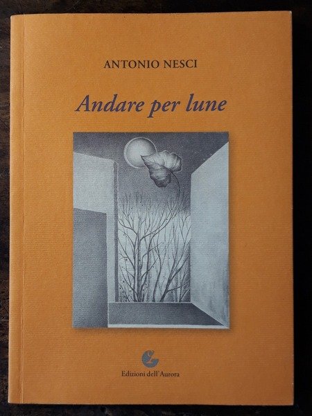 Andare per lune