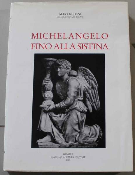 Michelangelo fino alla Sistina