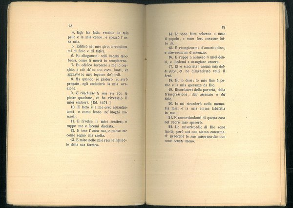 Il libro delle lamentazioni di Jeremia e il cantico de' …