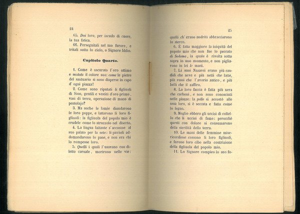 Il libro delle lamentazioni di Jeremia e il cantico de' …