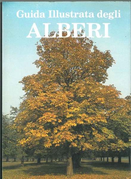 Guida illustrata degli alberi