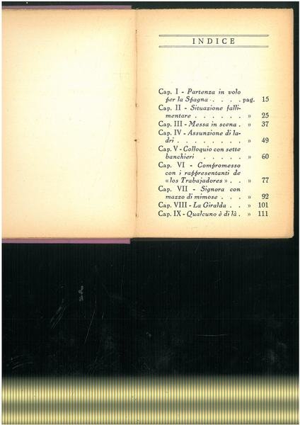 I leoni e le formiche. Saggio di economia a romanzo