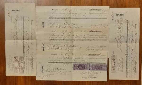 Pagheremo noi sottoscritti in solido all'ordine S. P. della Cassa …