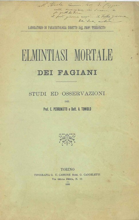 Elimintiasi mortale dei fagiani. Studi ed osservazioni