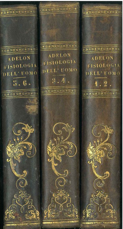 Fisiologia dell'uomo di N. P. Adelon professore di medicina legale …