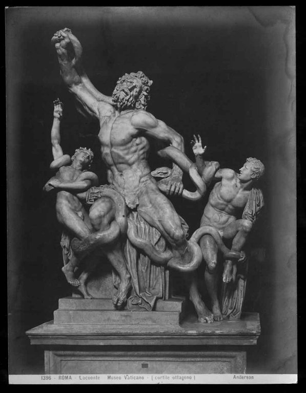 Fotografia all'albumina gruppo di Lacoonte