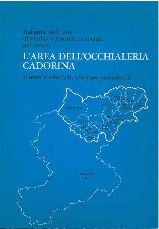 L' area dell'occhialeria cadorina. Il settore: struttura, sviluppo, potenzialità