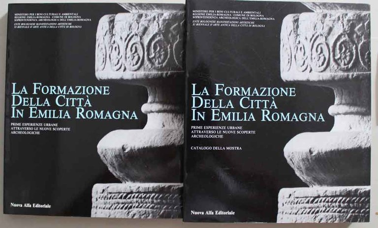 La formazione della città in Emilia Romagna. Prime esperienze urbane …
