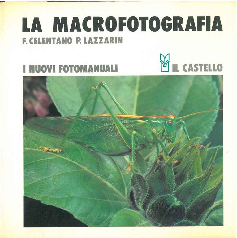 La macrofotografia