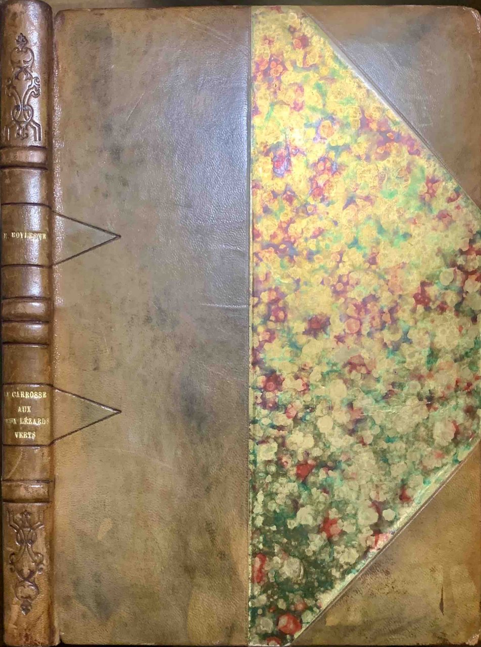 Le Carrosse aux deux lézards verts; Conte de Fées | Immagine principale