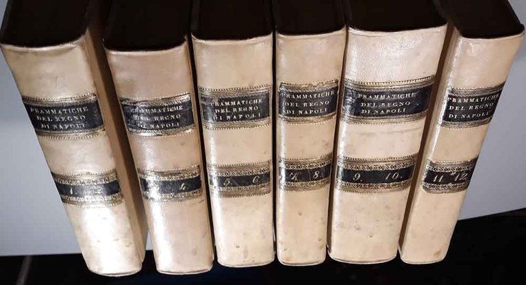 Nuova collezione delle prammatiche del Regno di Napoli. 12 tomi …