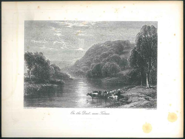 On the Dart, near Totnes.