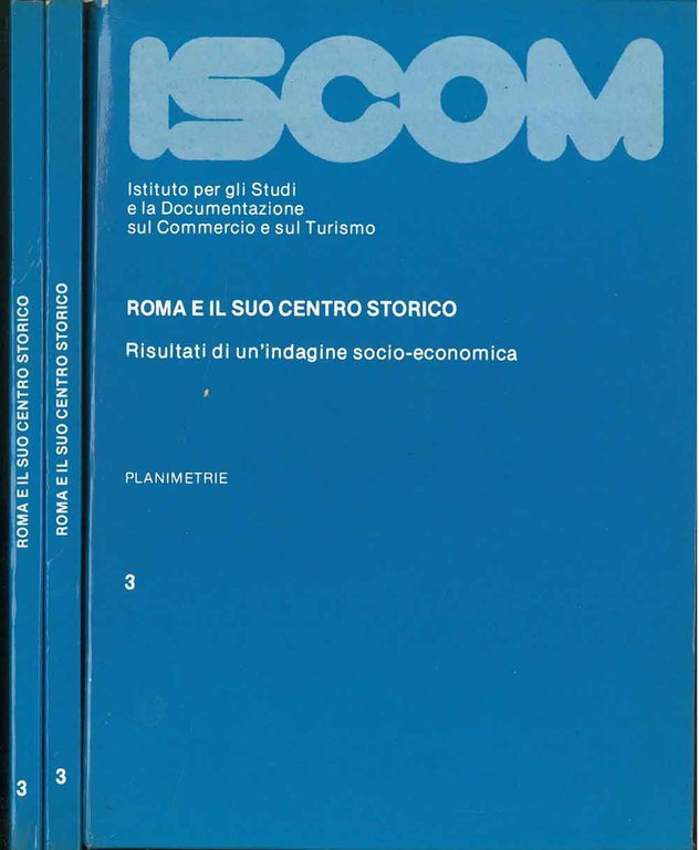 Roma e il suo centro storico. Risultati di un'indagine socio-economica