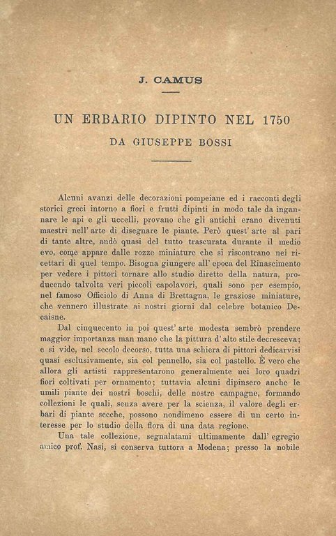 Un erbario dipinto nel 1750 da Giuseppe Bossi